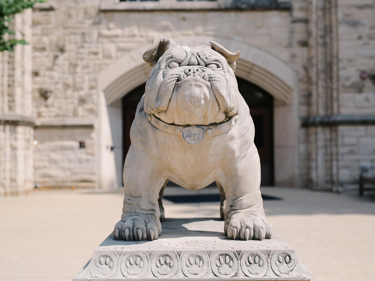 皇冠投注 bulldog statue on campus