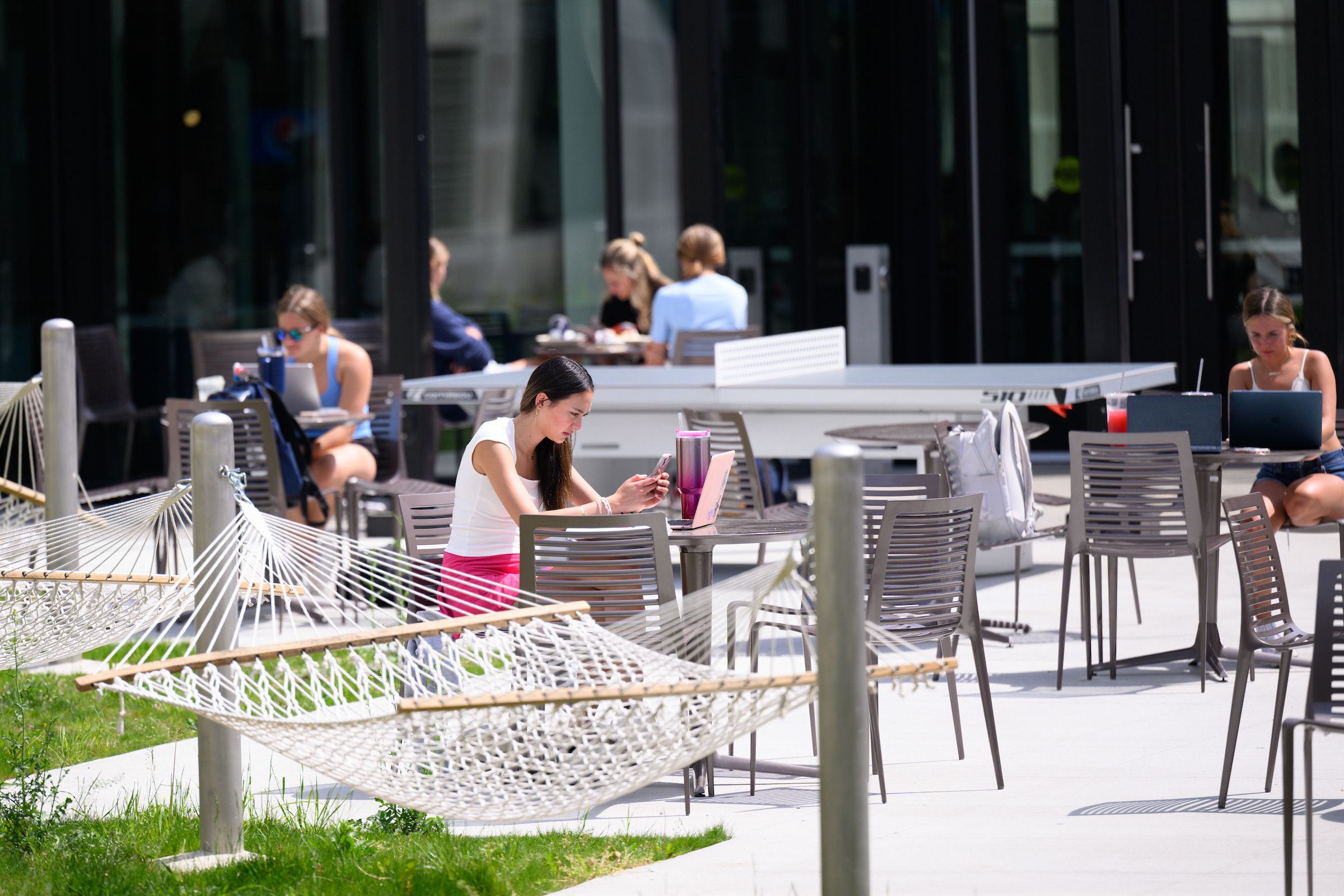 Students sitting outside studying and hanging out