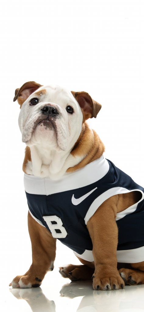 Butler Blue Downloads | Butler University